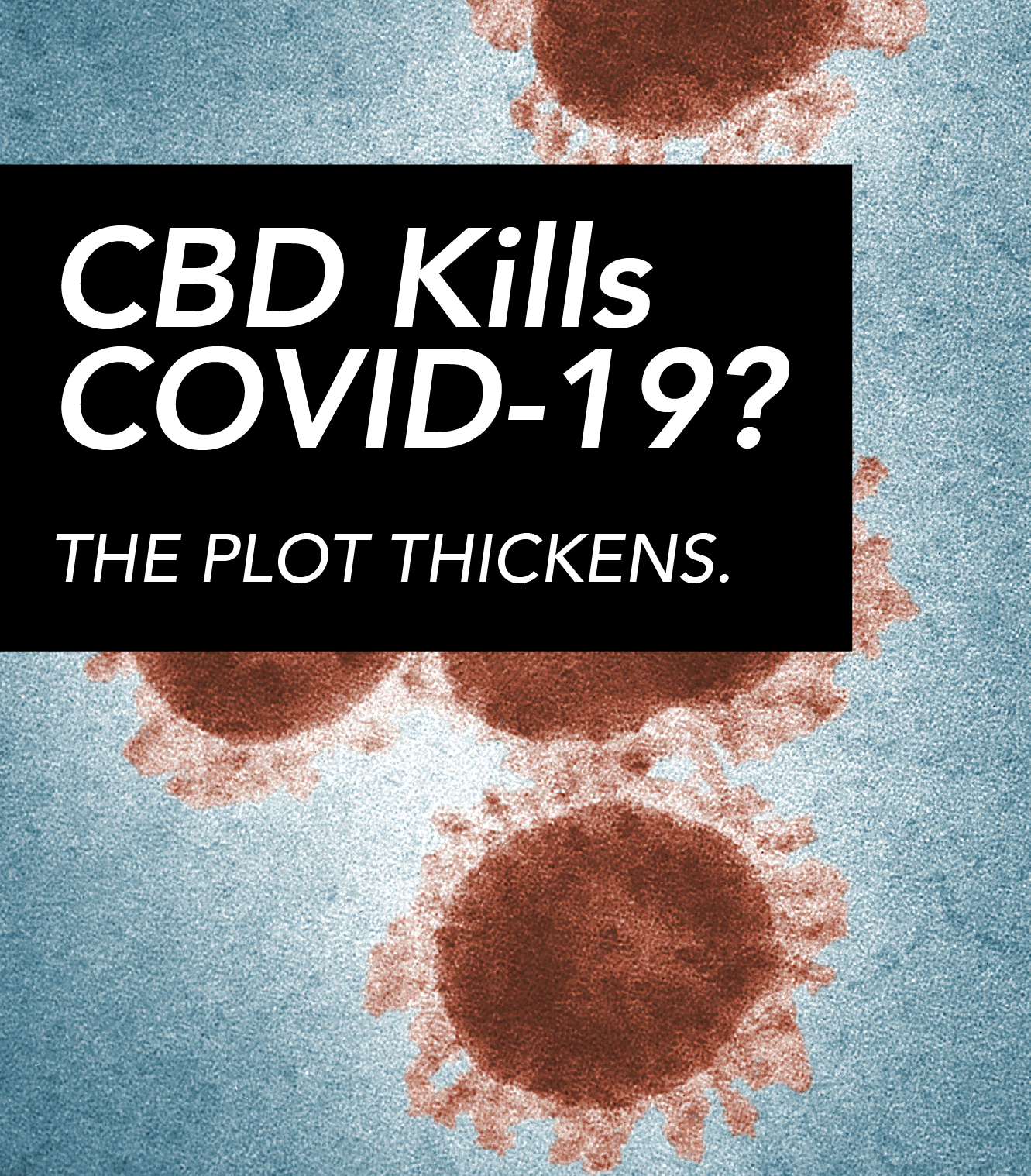 CBD Kills COVID-19? The plot thickens.